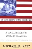 A szegényház árnyékában: A jóléti ellátás társadalomtörténete Amerikában, tizedik évfordulós kiadás - In the Shadow of the Poorhouse: A Social History of Welfare in America, Tenth Anniversary Edition