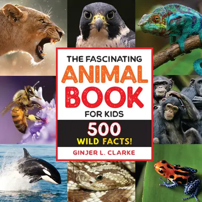 A lenyűgöző állatkönyv gyerekeknek: 500 vad tény! - The Fascinating Animal Book for Kids: 500 Wild Facts!