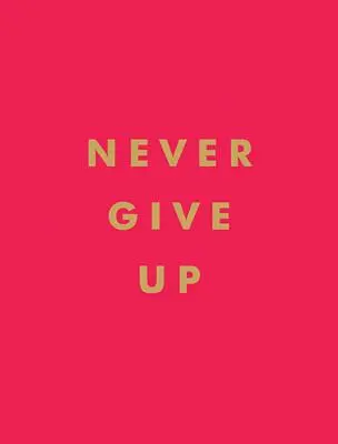 Never Give Up