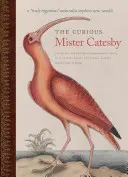 A különös Mister Catesby: Naturalista felfedezi az új világokat” - The Curious Mister Catesby: A Truly Ingenious