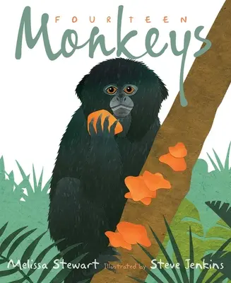 Tizennégy majom: Egy esőerdei rím - Fourteen Monkeys: A Rain Forest Rhyme