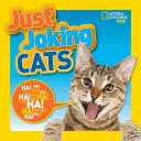 Csak vicceltem macskák - Just Joking Cats