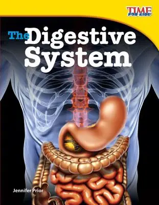 Az emésztőrendszer - The Digestive System