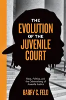 A fiatalkorúak bíróságának fejlődése: A fiatalkorúak igazságszolgáltatásának faji, politikai és kriminalizálása - The Evolution of the Juvenile Court: Race, Politics, and the Criminalizing of Juvenile Justice