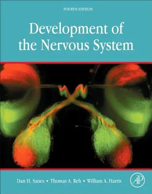Az idegrendszer fejlődése - Development of the Nervous System