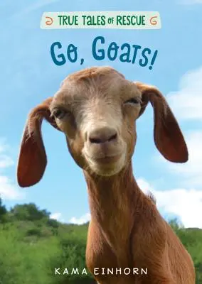 Hajrá, kecskék! - Go, Goats!