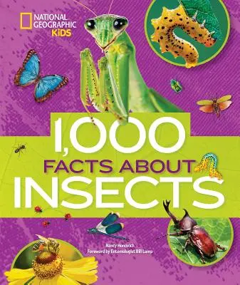 1000 tény a rovarokról - 1,000 Facts about Insects