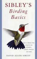 Sibley madarász alapjai - Sibley's Birding Basics