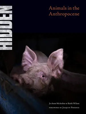 Rejtve: Állatok az antropocénben - Hidden: Animals in the Anthropocene