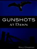 Gunshots At Dawn (Éles árnyalatok) - Gunshots At Dawn  (Sharp Shades)