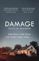 Damage - Egy letehetetlen és érzelmileg lebilincselő debütáló regény egy olyan fordulattal, amire nem számíthatsz. - Damage - An unputdownable and emotionally gripping debut with a twist you won't see coming