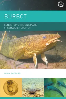 Burbot: A rejtélyes édesvízi tőkehal megőrzése - Burbot: Conserving the Enigmatic Freshwater Codfish