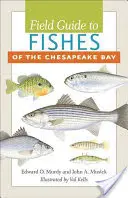 A Chesapeake-öböl halainak terepikalauza - Field Guide to Fishes of the Chesapeake Bay