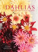 Dáliák - Gyönyörű fajták otthonra és kertbe - Dahlias - Beautiful varieties for home and garden