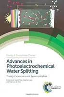 Advances in Photoelectrochemical Water Splitting: Elmélet, kísérlet és rendszerelemzés - Advances in Photoelectrochemical Water Splitting: Theory, Experiment and Systems Analysis