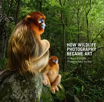 Hogyan lett a természetfotózásból művészet: Az Év Természetfotósa 55 éve - How Wildlife Photography Became Art: 55 Years of Wildlife Photographer of the Year