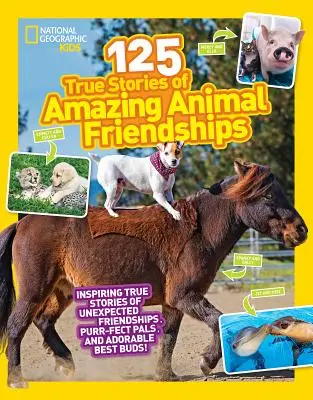 125 igaz történet elképesztő állatbarátságokról - 125 True Stories of Amazing Animal Friendships