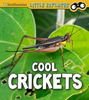 Cool tücskök - Cool Crickets