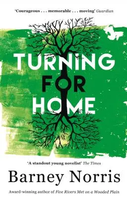 Hazafelé fordulva - Turning for Home