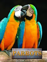 Papagájok - Parrots