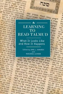 Učíme se číst Talmud: Jak to vypadá a jak se to děje? - Learning to Read Talmud: What It Looks Like and How It Happens
