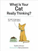 Mit gondol a macskád valójában? - What Is Your Cat Really Thinking?