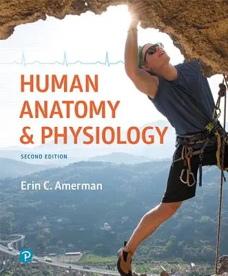 Emberi anatómia és élettan - Human Anatomy & Physiology