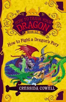 Hogyan neveld a sárkányodat: Hogyan küzdj meg a sárkány dühével - How to Train Your Dragon: How to Fight a Dragon's Fury