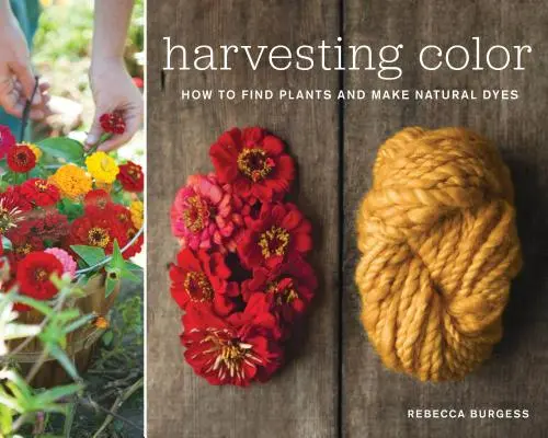 A szín betakarítása: Hogyan találjunk növényeket és készítsünk természetes festékeket? - Harvesting Color: How to Find Plants and Make Natural Dyes