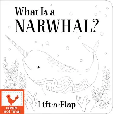 Mi az a narvál? - What Is a Narwhal?