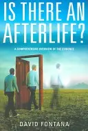 Van-e túlvilág? A bizonyítékok átfogó áttekintése - Is There an Afterlife?: A Comprehensive Overview of the Evidence