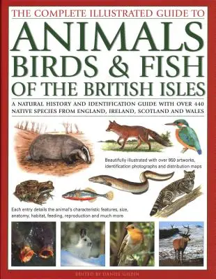 The Complete Illustrated Guide to Animals, Birds & Fish of the British Isles: Természettörténeti és azonosítási útmutató több mint 440 őshonos fajjal - The Complete Illustrated Guide to Animals, Birds & Fish of the British Isles: A Natural History and Identification Guide with Over 440 Native Species