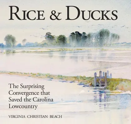 Rizs és kacsák: The Surprising Convergence That Saved the Carolina Lowcountry (A meglepő konvergencia, amely megmentette a Carolina Lowcountry-t) - Rice & Ducks: The Surprising Convergence That Saved the Carolina Lowcountry