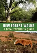 New Forest Walks