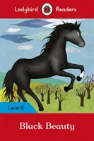 Fekete szépség: Szint: 6. - Black Beauty: Level 6