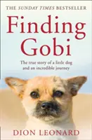 Finding Gobi (Main edition) - Egy kiskutya és egy hihetetlen utazás igaz története - Finding Gobi (Main edition) - The True Story of a Little Dog and an Incredible Journey