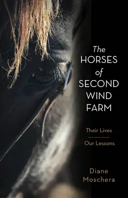 A Második Szél Farm lovai: Az életük - a mi leckéink - The Horses of Second Wind Farm: Their Lives - Our Lessons