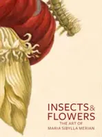 Rovarok és virágok: Maria Sibylla Merian művészete - Insects and Flowers: The Art of Maria Sibylla Merian