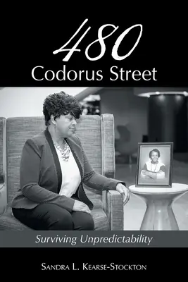 480 Codorus Street: A kiszámíthatatlanság túlélése - 480 Codorus Street: Surviving Unpredictability