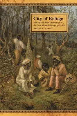 City of Refuge: Rabszolgaság és kisstílű maronázs a Nagy Dismal-mocsárban, 1763-1856 - City of Refuge: Slavery and Petit Marronage in the Great Dismal Swamp, 1763-1856