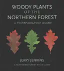 Az északi erdők fásszárú növényei: Fényképes útmutató - Woody Plants of the Northern Forest: A Photographic Guide