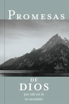 Promesas de Dios Para Cada Una de Tus Necesidades = Isten ígéretei minden szükségletedre - Promesas de Dios Para Cada Una de Tus Necesidades = God's Promises for Your Every Need