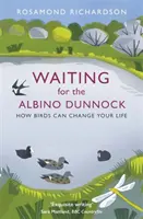 Várva az Albino Dunnockra: Hogyan változtathatják meg a madarak az életedet? - Waiting for the Albino Dunnock: How Birds Can Change Your Life