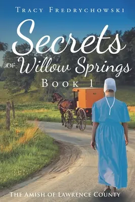 Tajemství Willow Springs - Kniha 1: Amišové z Lawrence County - Secrets of Willow Springs - Book 1: The Amish of Lawrence County