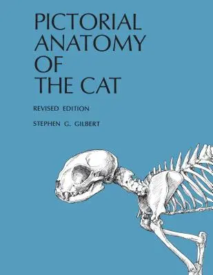 A macska képi anatómiája - Pictorial Anatomy of the Cat