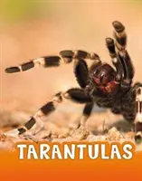 Tarantulák - Tarantulas