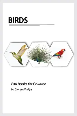 Madarak: Montessori igazi madarak könyv, intelligencia darabok baba és kisgyermek számára, gyermekkönyv, tanulási források. - Birds: Montessori real birds book, bits of intelligence for baby and toddler, children's book, learning resources.