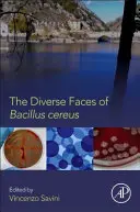 A Bacillus Cereus változatos arcai - The Diverse Faces of Bacillus Cereus