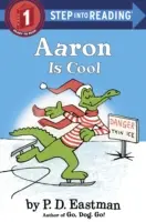 Aaron Is Cool