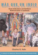 Ms Que Un Indio (Több mint egy indián): Faji ambivalencia és neoliberális multikulturalizmus Guatemalában - Ms Que Un Indio (More Than an Indian): Racial Ambivalence and Neoliberal Multiculturalism in Guatemala